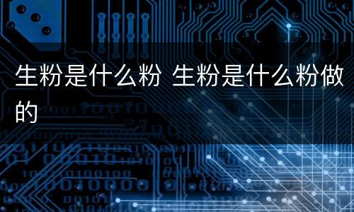 生粉是什么粉 生粉是什么粉做的