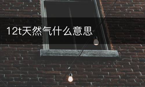 12t天然气什么意思