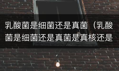 乳酸菌是细菌还是真菌（乳酸菌是细菌还是真菌是真核还是原核生物）