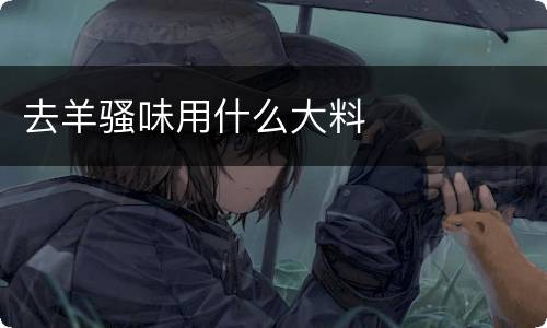 去羊骚味用什么大料