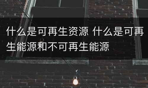 什么是可再生资源 什么是可再生能源和不可再生能源