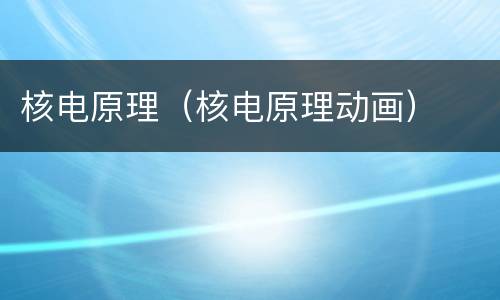 核电原理（核电原理动画）