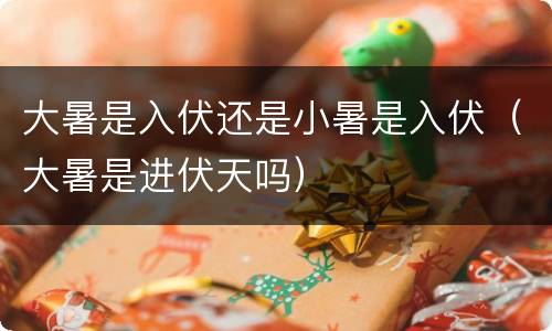大暑是入伏还是小暑是入伏(大暑是进伏天吗)