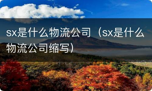 sx是什么物流公司（sx是什么物流公司缩写）