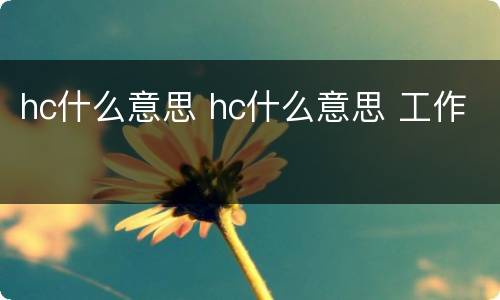 hc什么意思 hc什么意思 工作
