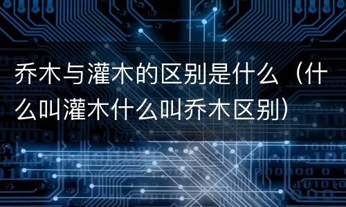 乔木与灌木的区别是什么（什么叫灌木什么叫乔木区别）