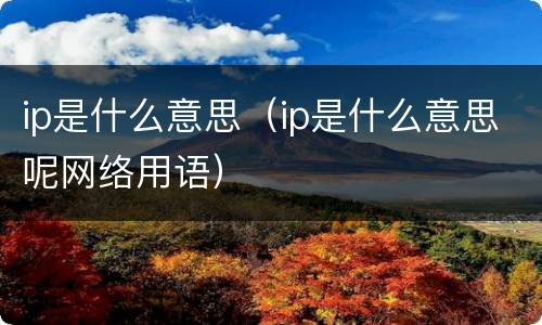 ip是什么意思（ip是什么意思呢网络用语）