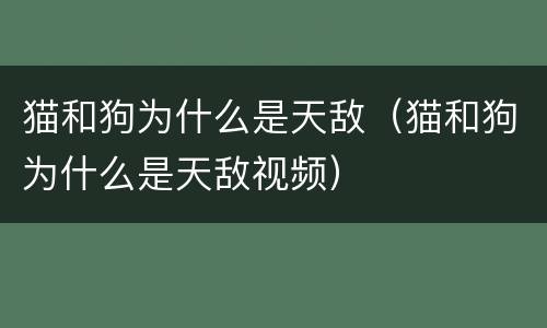猫和狗为什么是天敌（猫和狗为什么是天敌视频）