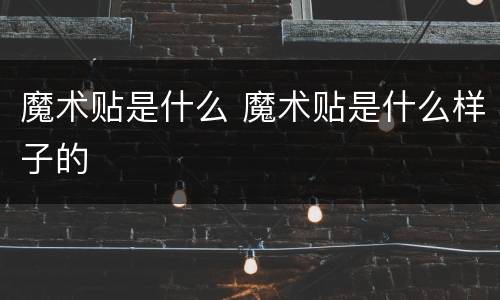 魔术贴是什么 魔术贴是什么样子的