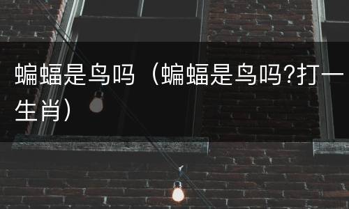 蝙蝠是鸟吗（蝙蝠是鸟吗?打一生肖）