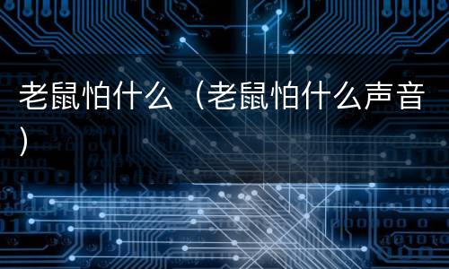 老鼠怕什么（老鼠怕什么声音）