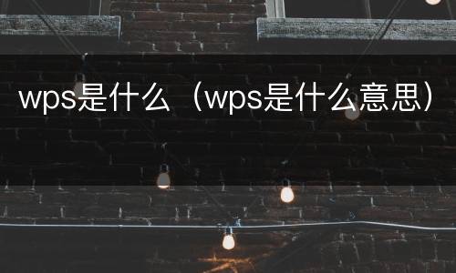 wps是什么（wps是什么意思）