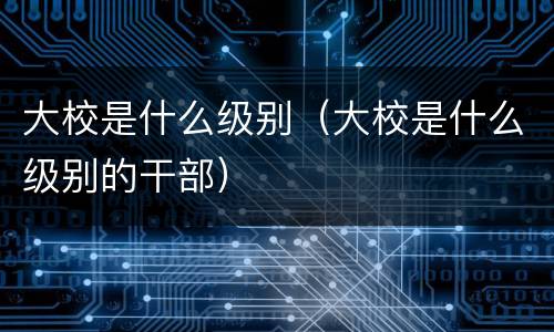 大校是什么级别（大校是什么级别的干部）