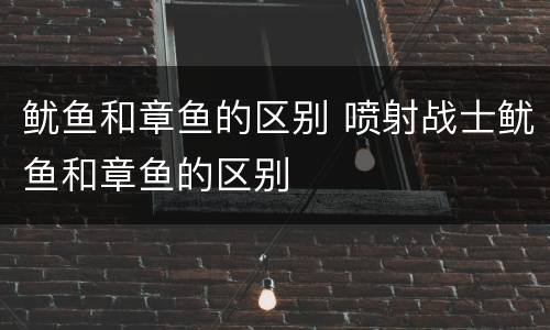 鱿鱼和章鱼的区别 喷射战士鱿鱼和章鱼的区别