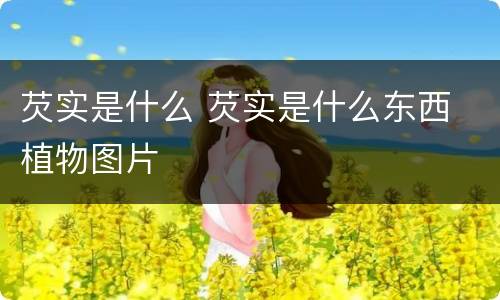 芡实是什么 芡实是什么东西 植物图片
