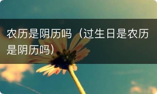 农历是阴历吗（过生日是农历是阴历吗）