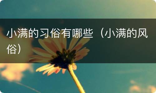 小满的习俗有哪些（小满的风俗）