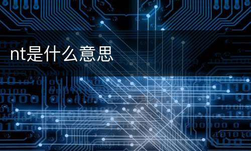 nt是什么意思