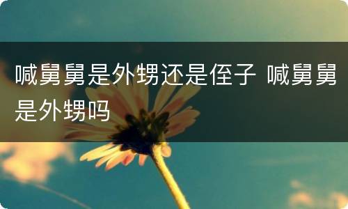 喊舅舅是外甥还是侄子 喊舅舅是外甥吗