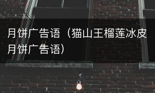 月饼广告语（猫山王榴莲冰皮月饼广告语）