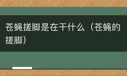 苍蝇搓脚是在干什么（苍蝇的搓脚）