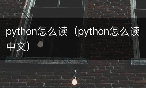 python怎么读（python怎么读中文）
