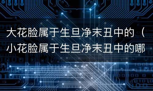 大花脸属于生旦净末丑中的（小花脸属于生旦净末丑中的哪一个）