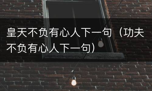 皇天不负有心人下一句（功夫不负有心人下一句）