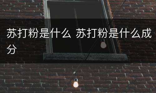 苏打粉是什么 苏打粉是什么成分