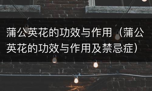 蒲公英花的功效与作用（蒲公英花的功效与作用及禁忌症）