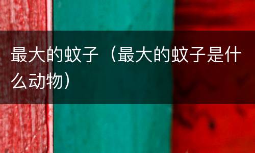 最大的蚊子（最大的蚊子是什么动物）