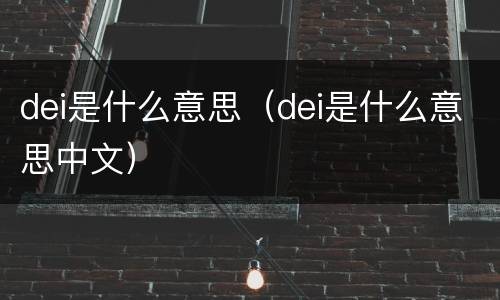 dei是什么意思（dei是什么意思中文）