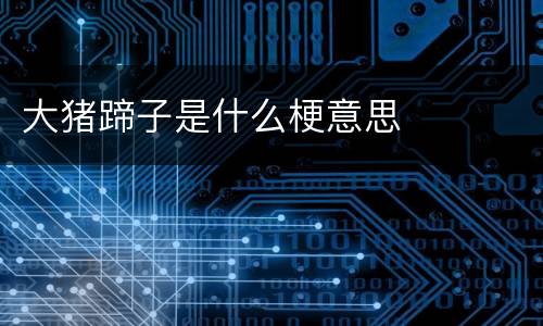 大猪蹄子是什么梗意思