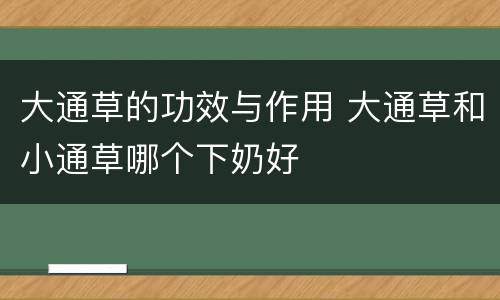 大通草的功效与作用 大通草和小通草哪个下奶好