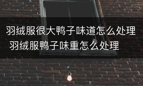 羽绒服很大鸭子味道怎么处理 羽绒服鸭子味重怎么处理