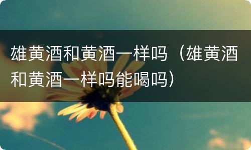 雄黄酒和黄酒一样吗（雄黄酒和黄酒一样吗能喝吗）