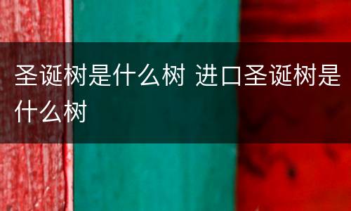 圣诞树是什么树 进口圣诞树是什么树