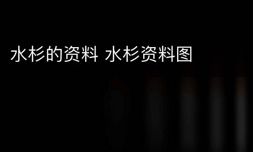水杉的资料 水杉资料图