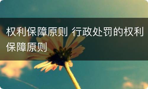 权利保障原则 行政处罚的权利保障原则