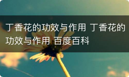 丁香花的功效与作用 丁香花的功效与作用 百度百科