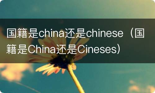 国籍是china还是chinese（国籍是China还是Cineses）