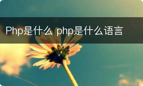 Php是什么 php是什么语言