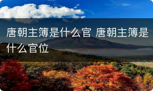 唐朝主簿是什么官 唐朝主簿是什么官位