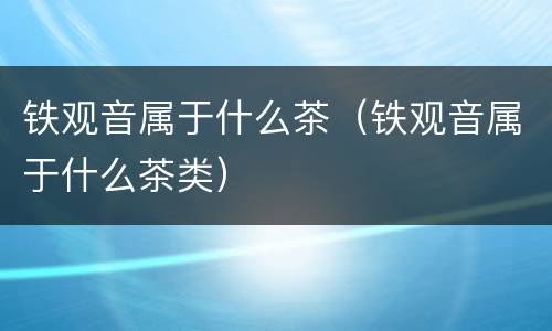 铁观音属于什么茶（铁观音属于什么茶类）