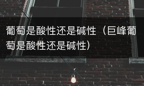 葡萄是酸性还是碱性(巨峰葡萄是酸性还是碱性)