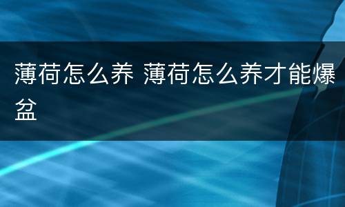 薄荷怎么养 薄荷怎么养才能爆盆