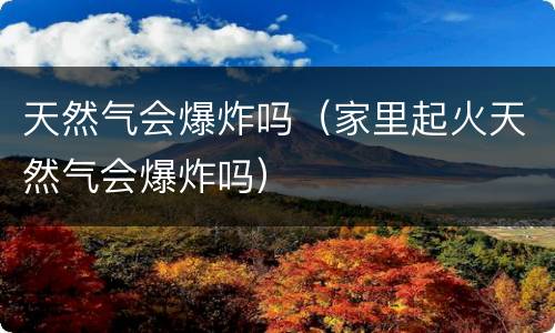 天然气会爆炸吗（家里起火天然气会爆炸吗）