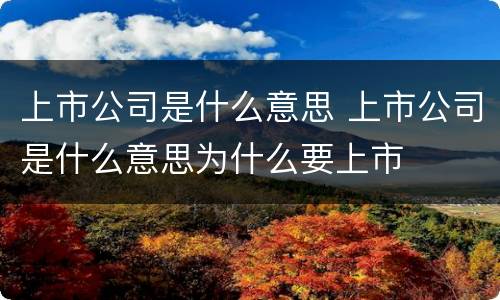 上市公司是什么意思 上市公司是什么意思为什么要上市