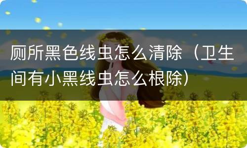 厕所黑色线虫怎么清除（卫生间有小黑线虫怎么根除）
