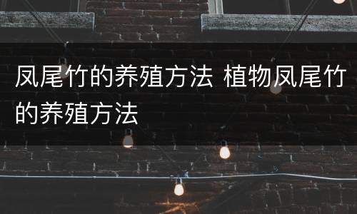 凤尾竹的养殖方法 植物凤尾竹的养殖方法